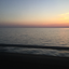 carolina6647-blog
