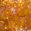 coloured-trees