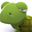tortuebulle