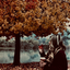 vanillaautumn