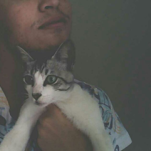 Menina de 12 anos gravida e eu ainda finjo mexer no celular quando alguém tá me olhando.
