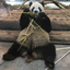 hainanlife-blog