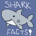 sharkfactoftheday