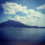 shinlandscape