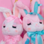 sucre-dolls