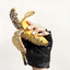 punk-rock-bananas