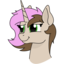 twigsandashes