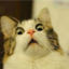 incog-neat-0-blog