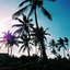 xpositive-vibrations-blog