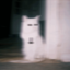 wtf-cube-blog