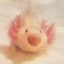 screamingaxolotlotl