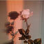 vap0r-w0rds-blog