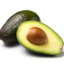 sensitiveavocado17