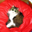 phantasmagories-blog
