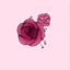 blushhbbe