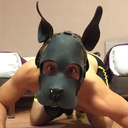 gaydoggytrainer:  http://gaydoggytrainer.tumblr.com