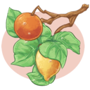 orangelemonart avatar