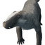 raptorranchero