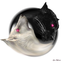 lovelywolfy