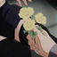 cupsofroses