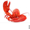 gleefullobster avatar