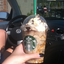 twixfrappuccino