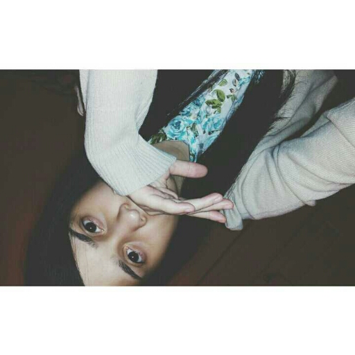 wonderland