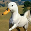 50-shades-of-ducks
