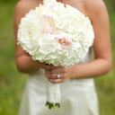 picture-perfect-weddings-blog avatar