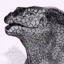 iguanodont.tumblr.com