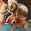 adhdspaceninjacowboylawyer-blog