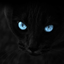 dreamstormz-blog