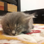 lazybum26