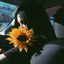 lullabysunflower-blog