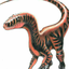 redraptor69