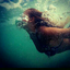 surf-lust