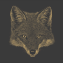 foxwithsocks avatar