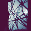 xxxxxconceptualxxxxx-blog