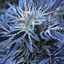 sen12345sen-blog