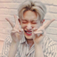 wonhostan