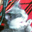 derpmaterial-blog
