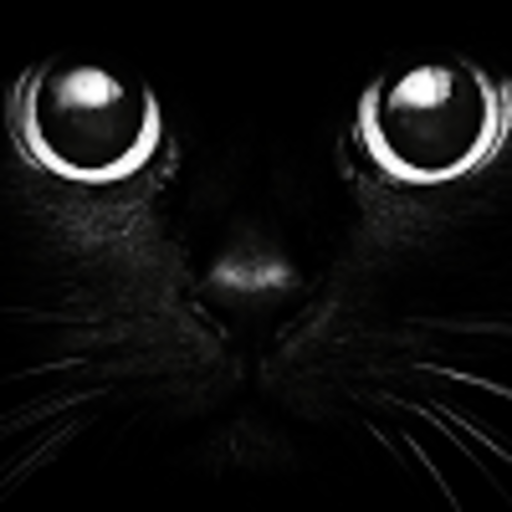 XXX deranged-black-kitten:  Part 1 of a Rick photo