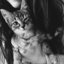 searchmyselfinthisworld-blog