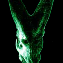 junkoid-gekkgekko avatar