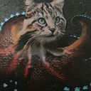 0cto-cat avatar