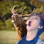 confuseddeer-blog