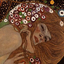 vanessa-cardui
