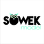 sowekmodel