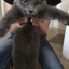 lolitschelle-blog-blog