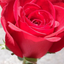lovepersonal
